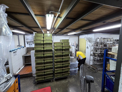Enterprise One (D14), Warehouse #557012831